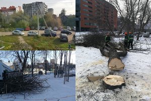 Šnipiškių atsinaujinimas kelia siaubą: dėl eismo juostos iškirsta apie 15 sveikų kaštonų, gyventojai to nematė net užsienyje