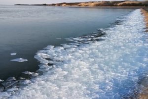 Kuršių mariose ties Nida užfiksuotas įspūdingas gamtos reiškinys: vėjo ir bangų plaikstomi šnara ledai