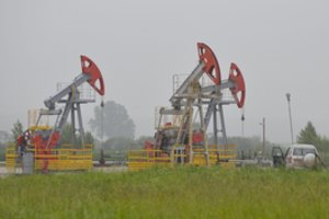 Jautriame gamtos kampelyje Pamario krašte verslininkai užsimojo pumpuoti naftą, specialistai perspėja apie didžiulę grėsmę