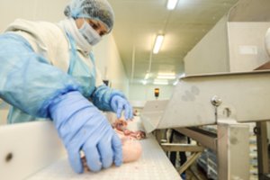 Profsąjunga dėl situacijos paukštininkystės sektoriuje rengia piketą prie Vyriausybės