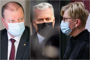 S. Skvernelis įvertino I. Šimonytės Vyriausybės darbą: tragedija, o G. Nausėda situaciją gali dar labiau apsunkinti