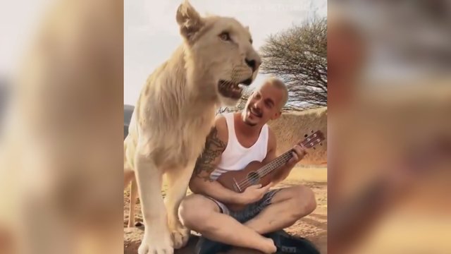Drąsaus vyro poelgis sparčiai plinta internete: dainas atliko liūtų draugijoje