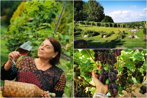 Ukrainietei vyndarei Lietuva tapo antra tėvyne: pirmasis mano darbas Lietuvai atgaunant Nepriklausomybę – siūti trispalves