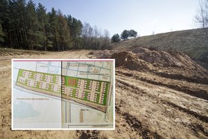 Vilniaus savivaldybė įspėja: NT skelbimų portale klaidinami pirkėjai – už 3 mln. parduoda katę maiše