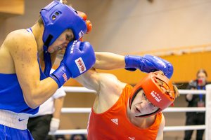 Dano Pozniako bokso turnyre – lemiamos kovos