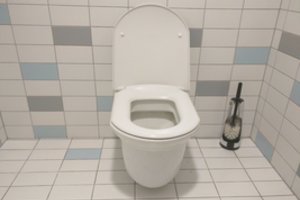 Milijonas gyventojų vandenį klozete privalo nuleisti vienu metu – tam yra priežastis