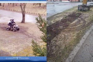 Kėdainių rajono miestelį nusiaubė keturratininkas: suniokotas gėlynas ir kitos žaliosios zonos