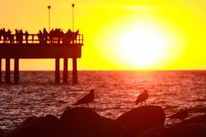 Mokslininkas: Palangos paplūdimio gali nelikti jau po 40 metų