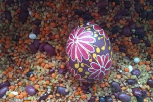 Margindama kiaušinius vilnietė jaučiasi tarsi burtininkė 