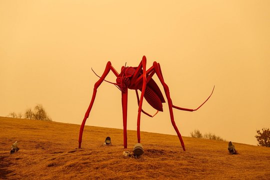 Dangus virš Kinijos primena apokalipsę: dalį šalies užklupo smėlio audra iš Gobio dykumos