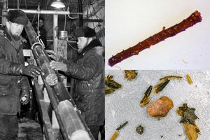 Mokslininkus apstulbino kadaise slaptoje Grenlandijos vietoje aptiktas radinys