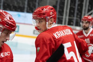 Šveicarijos elitinėje lygoje – E. Krakausko karjeros rungtynės