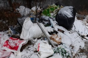 Miške prie Vilniaus šiukšles išvertusiems asmenims atsirūgo: pareigūnai aptiko svarbius dokumentus