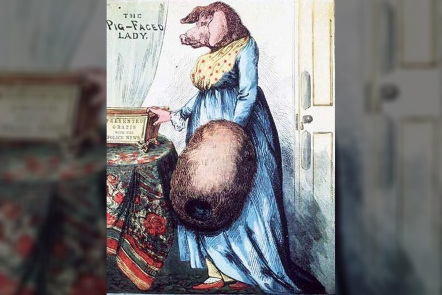  Dėl nežinomų priežasčių, kurios greičiausiai buvo susijusios su prietarais ir nusistatymu prieš moteris, XVII amžiuje atsirado legenda apie sutvėrimą, kuris turėjo moters kūną ir kiaulės galvą.<br> „The Illustrated Police News“ iliustr.