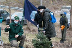 Šeštadienį pasodintas Vilniaus Kalėdų miškas – pirmas toks pasaulyje