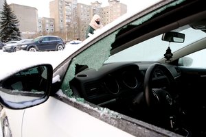 Rado būdą, kaip kovoti su ilgapirščiais: apsaugos ne tik automobilius, bet ir namus