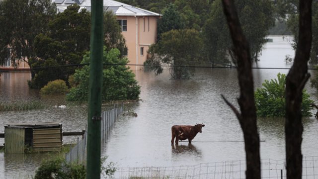 Australiją toliau siaubia potvyniai: tūkstančiai gyventojų priversti evakuotis