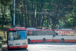 Traukiasi „Vilniaus viešojo transporto“ vadovas R. Markauskas