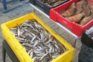 Įkliuvo turgaus prekeivis – mėsą ir šviežią žuvį pardavinėjo tiesiai nuo grindinio