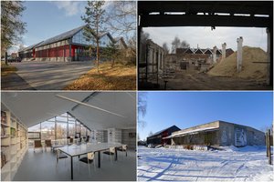 Nidos meno kolonija švenčia dešimties metų sukaktį