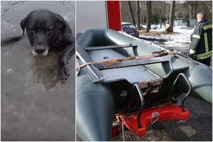 Po tragedijos, kai gelbėdamas šunį nuskendo žmogus, dalijasi patarimais, kurie gali išgelbėti ne vieną gyvybę