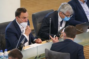 Seimo nariams skelbiant radikalias ir net Vyriausybei prieštaraujančias pozicijas, žodį tarė ekspertai