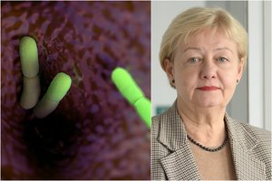 Epidemiologė: dėl COVID-19 Lietuvoje sumažėjo skiepijimo apimtys nuo 11 užkrečiamųjų ligų