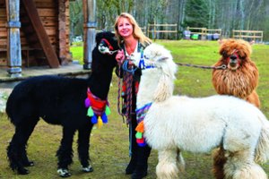 Po 22 metų santuokos vyro paliktą žmoną alpakos išgelbėjo iš gyvenimo griuvėsių