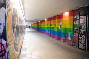 Laisvės partijos frakcija atsiėmė pataisas dėl baudų už neapykantos kurstymą ir patyčias