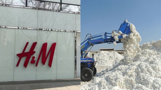 H&M sprendimas nebenaudoti medvilnės iš Sindziango regiono supykdė Kiniją