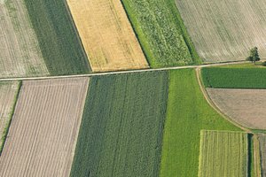 Europos Komisija pristatė ekologinės gamybos skatinimo veiksmus