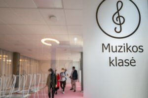 Vilniaus valdžia spręs, ar sostinei reikalingos aštuonios naujos mokyklos