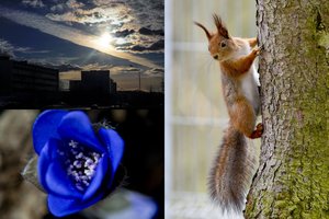 Klimatologas pranešė, kokie pavasario procesai atmosferoje užklups netrukus ir kas bus po Velykų