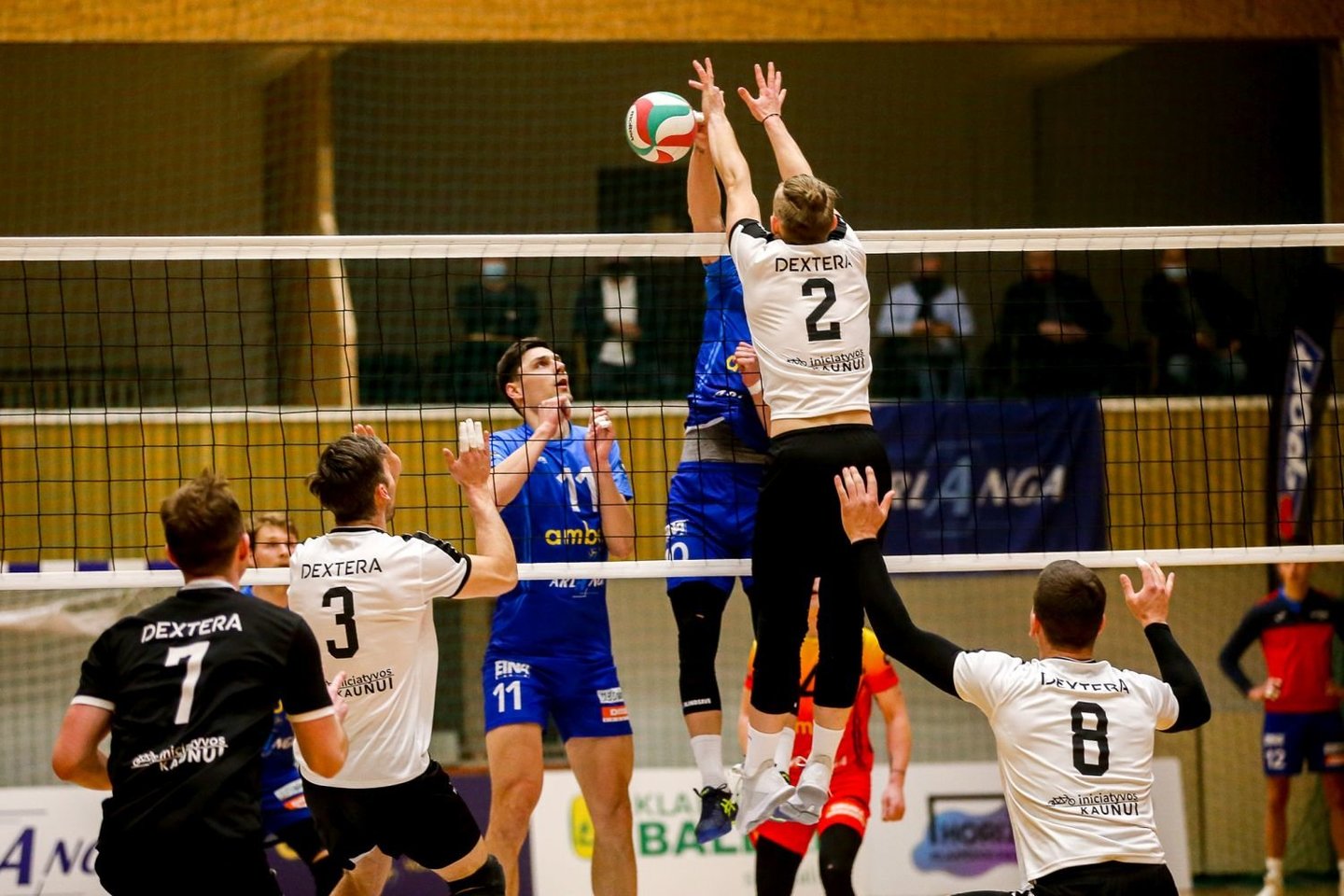 Lietuvos čempionais tapo Gargždų „Amber-Arlangos“ tinklininkai
