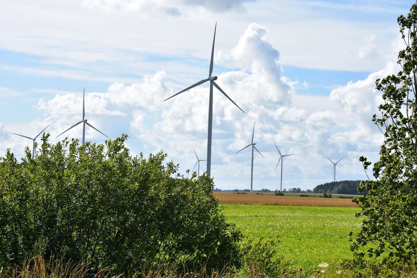 Pagal kvadratiniam teritorijos kilometrui tenkančią vėjo elektrinių galią Lietuva atsilieka ne tik nuo Vokietijos ar Danijos, bet ir nuo ES vidurkio.<br>LR archyvo nuotr.