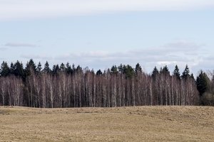 NMA ieško galimybių, kaip padėti tikriems ūkininkams išvengti klaidų ir neprarasti išmokų