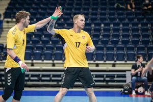 Lietuvos rankininkai svetur: sustabdytas Islandijos čempionatas, J.Truchanovičiaus trauma ir pergalės Vokietijoje