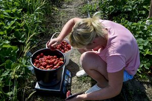 Žemės ūkyje trūksta darbuotojų – jų neranda trečdalis darbdavių