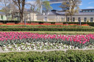 Druskininkai kuria pavasario šventę: išsilukštenkime iš stingulio ir įsupkime Velykas