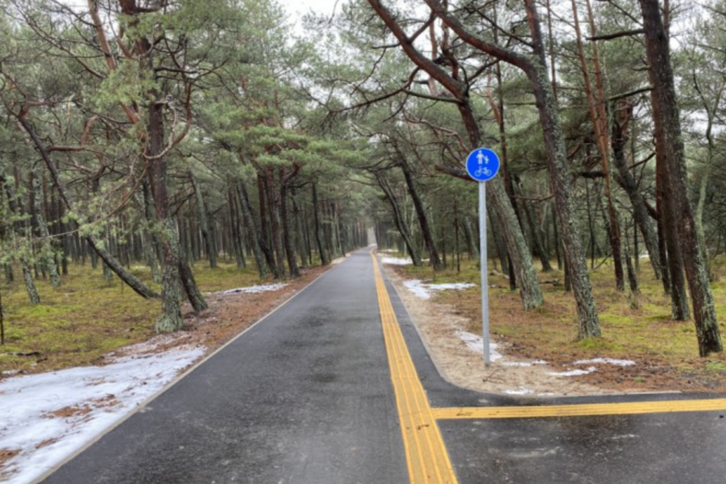 Įgyvendinant darnaus judumo priemones, Neringoje buvo sutvarkytas palei pajūrio apsauginį kopagūbrį einantis pėsčiųjų ir dviračių takas.<br>Neringos savivaldybės nuotr.