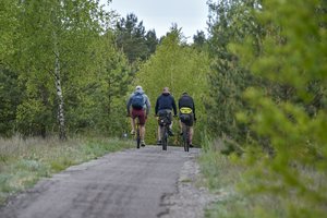 Neringoje naujai sutvarkytas gėdą daręs dviračių ir pėsčiųjų takas