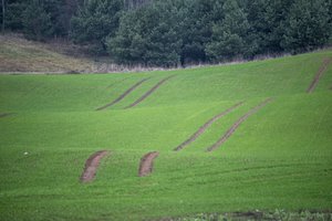Žemės ūkio paskolų garantijų fondui patvirtintas valstybės garantijų limitas – 153 mln. eurų