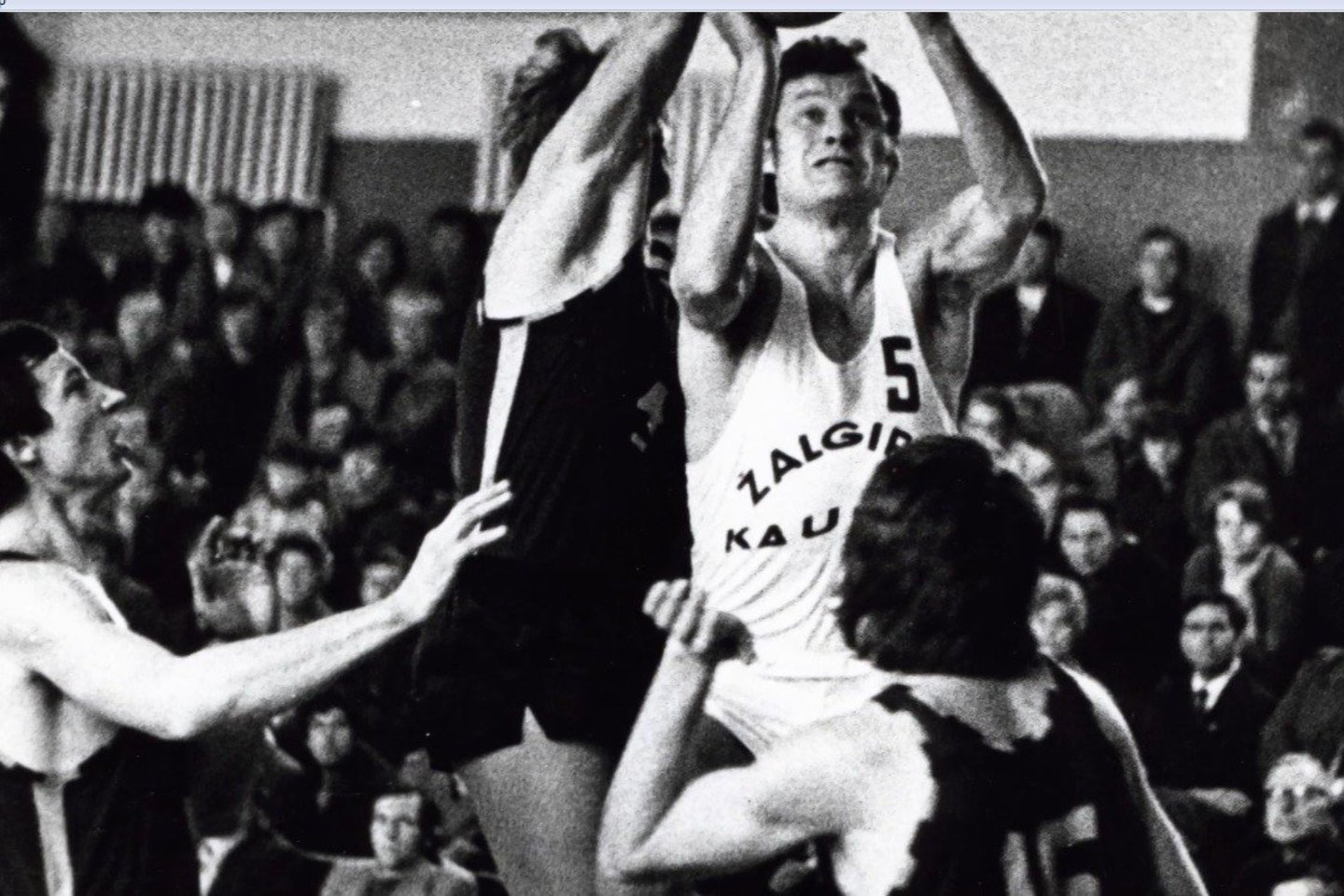 Modestas Paulauskas įrašytas į FIBA krepšinio šlovės muziejų.