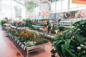 Duris atvėrusių „MOKI VEŽI“ pirkėjų krepšelyje – sodo, remonto ir namų apdailos prekės