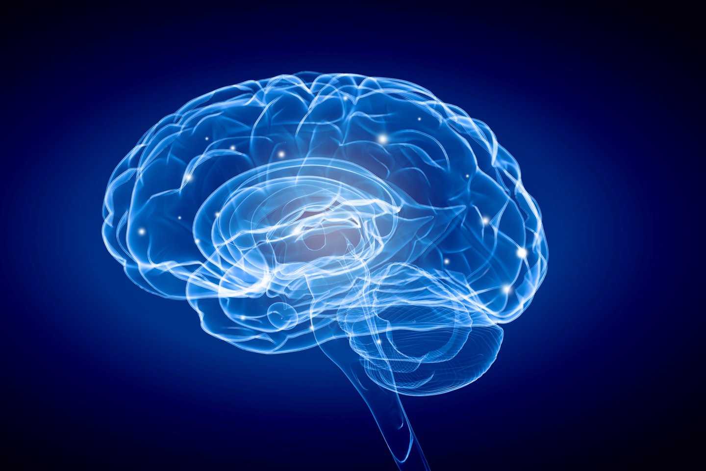  GNDEM sako, kad sąmonei esminė sritis – priekaktinė žievė, o IIT prognozuoja, kad tai smegenų galinės dalys.<br> 123rf iliustr.