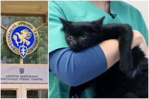 Įvertino nuolatinę valstybinę veterinarinę priežiūrą: yra vietų, kurių netikrina vienerius ar dvejus metus