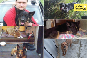 Priglaudė 5 šunis, su kuriais neišskyrė net emigracija: užsienyje gausią šeimą papildė dar 2 augintiniai