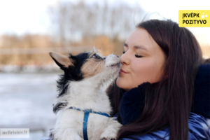 Beširdžių vos 2 mėn. amžiaus į gatvę išmesta Lota – šiandien gudri damutė