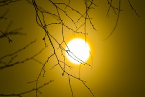 Sinoptikai: per Velykas – malonė iš dangaus