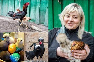 Miestą į kaimą iškeitusi Vesta sukūrė išskirtinį ūkį Panevėžio rajone